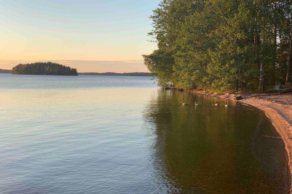 Elegant Villa On The Shore Of Lake Saimaa ลาเปเอรันตา ภายนอก รูปภาพ